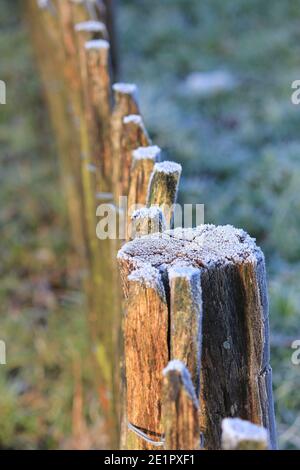 L'hiver dans le citypark Scadjk Banque D'Images