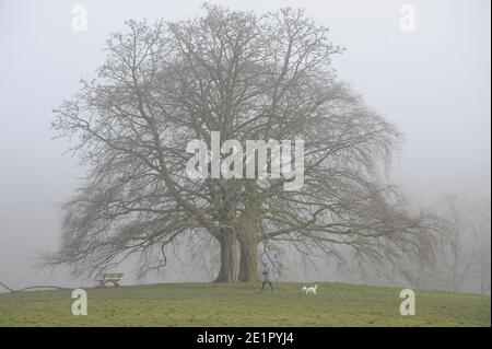 Hampstead Heath, Londres. 9 janvier 2021. Misty Morning on Hampstead Heath Credit: JOHNNY ARMSTEAD/Alamy Live News Banque D'Images