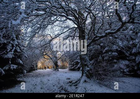 Marche à travers CoVid - promenades en hiver Banque D'Images