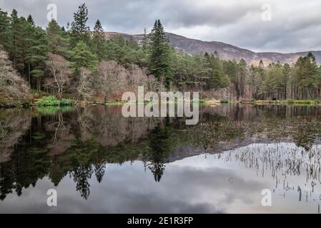 Belle image de paysage de Glencoe Lochan avec Pap de Glencoe Au loin, en soirée d'hiver Banque D'Images