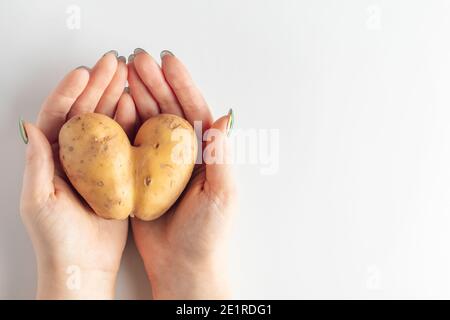 Pommes de terre en forme de cœur dans les mains sur fond blanc. Concept de la Saint-Valentin. Banque D'Images