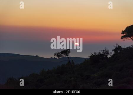 Arbres en silhouette. Des arbres noirs ressemblant à des ombres au coucher du soleil. Outback, ambiance le soir. Vue sur le Mont Carmel, la petite Suisse, surplombant la ville de Haïfa. Israël. Photo de haute qualité photo de haute qualité Banque D'Images