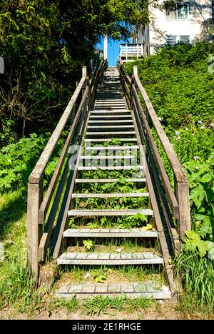 Escalier extérieur en bois montant une petite colline sur un Sentier à Juneau - Alaska - États-Unis Banque D'Images