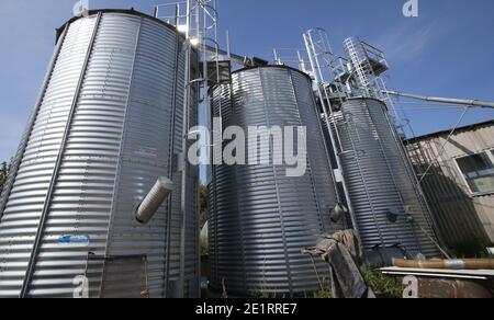 Tours de l'entreprise de séchage de grain. Installation de grain en métal avec silos Banque D'Images