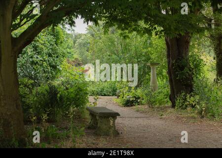 Chemin de jardin vu dans un erea ombragé de Myddelton House. Banque D'Images