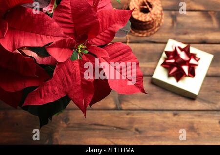 Fleur de poinsettia rouge, également connue sous le nom d'étoile de Noël ou d'étoile de Bartholomew isolée sur fond de bois. Concept des vacances d'hiver de Noël Banque D'Images