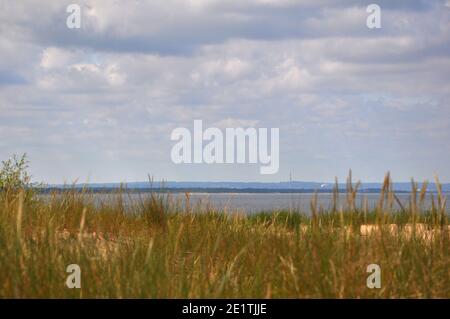Dunes de la mer Baltique surcultivées avec de l'herbe. Banque D'Images