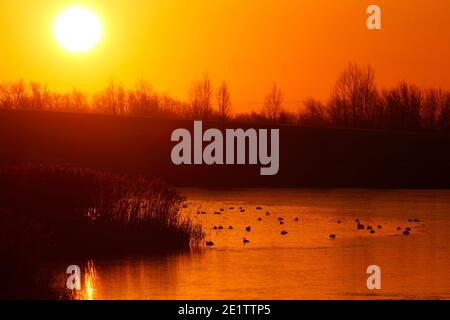 Lever de soleil au-dessus d'un lac Bowers gelé à St Aidan's nature Parc à Swillington, Leeds, West Yorkshire Banque D'Images