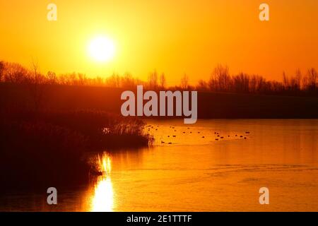 Lever de soleil au-dessus d'un lac Bowers gelé à St Aidan's nature Parc à Swillington, Leeds, West Yorkshire Banque D'Images