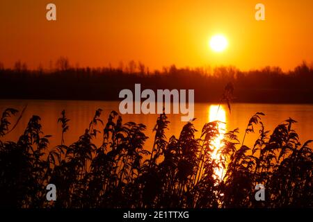 Lever de soleil au-dessus d'un lac Bowers gelé à St Aidan's nature Parc à Swillington, Leeds, West Yorkshire Banque D'Images