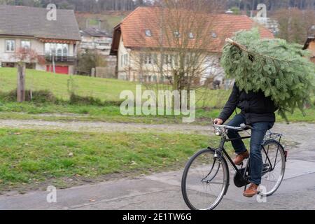 Shopping d'arbres de Noël à vélo. Faites tout en vélo sans souci. Concept de protection de l'environnement et de Noël. Banque D'Images