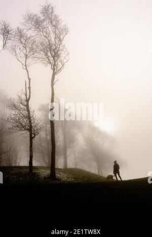 Steyning, Royaume-Uni. 09e janvier 2021. Un marcheur de chien est silhoueté contre la lumière dans le brouillard sur la voie de South Downs à l'anneau de Chanctonbury dans le Sussex photo Credit: Julia Claxton/Alamy Live News Banque D'Images