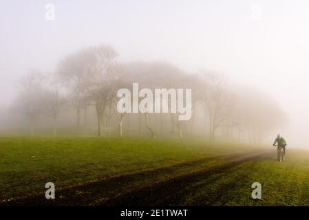 Steyning, Royaume-Uni. 09e janvier 2021. Un cycliste passe des arbres dans le brouillard sur le South Downs Way à l'anneau de Chanctonbury dans le Sussex photo Credit: Julia Claxton/Alamy Live News Banque D'Images