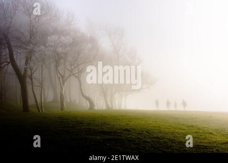 Steyning, Royaume-Uni. 09e janvier 2021. Marcheurs dans le brouillard sur la South Downs Way près de l'anneau de Chanctonbury dans le Sussex photo Credit: Julia Claxton/Alamy Live News Banque D'Images