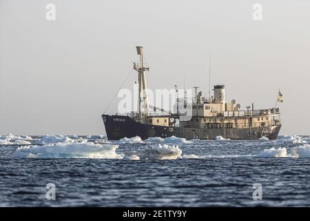 Mme Origo navigue au milieu de la glace de l'océan Arctique autour de Svalbard. Banque D'Images