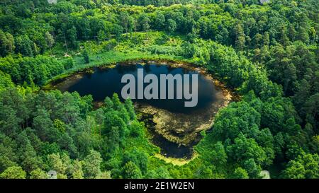 Petit étang et forêt verte en été, vue aérienne de la Pologne, Europe Banque D'Images