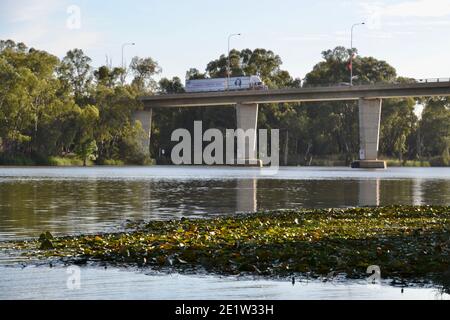 Camion réfrigéré traversant la frontière de Victoria en Nouvelle-Galles du Sud près de Mildura on Un pont au-dessus de la rivière Murray le matin éclairé par le soleil avec des lilas d'eau dans l'eau Banque D'Images