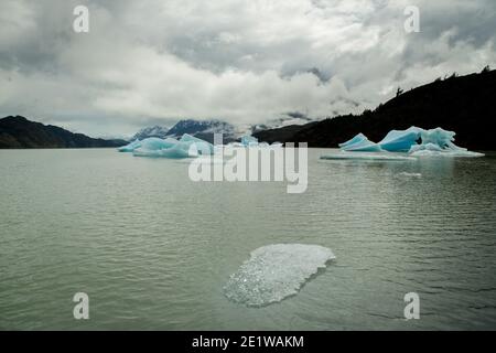 Un vestige fragmenté d'un iceberg flotte devant de grands icebergs bleus vêtus de Glacier Grey dans les eaux de Lago Grey, Torres del Paine, Chili Banque D'Images