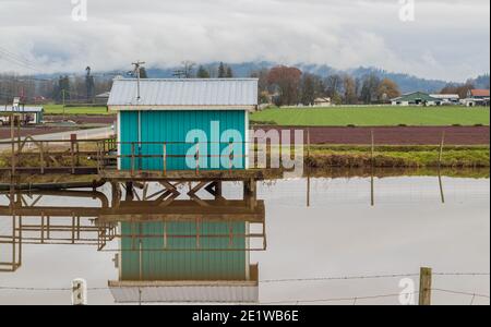 Vue sur la tourbière verte sur l'eau avec reflet. Photo de voyage, vue sur la rue, mise au point sélective. Banque D'Images