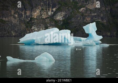 Des icebergs de glace sculptée en bleu profond et vêtus de Glacier Grey flottent à Lago Grey, dans le parc national Torres del Paine, Patagonie, Chili Banque D'Images