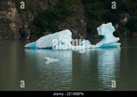 Des icebergs de glace sculptée en bleu profond et vêtus de Glacier Grey flottent à Lago Grey, dans le parc national Torres del Paine, Patagonie, Chili Banque D'Images