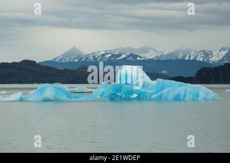 Des icebergs de glace sculptée en bleu profond et vêtus de Glacier Grey flottent à Lago Grey, dans le parc national Torres del Paine, Patagonie, Chili Banque D'Images