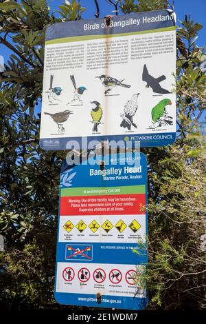 Bangalley dirigez-vous vers Avalon Beach sur les plages du nord de Sydney, en Nouvelle-Galles du Sud, en Australie Banque D'Images