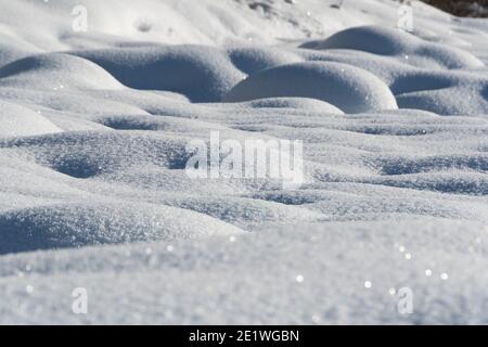 Douce neige douce et douce par temps froid. Paysage d'hiver avec champ couvert de neige Banque D'Images