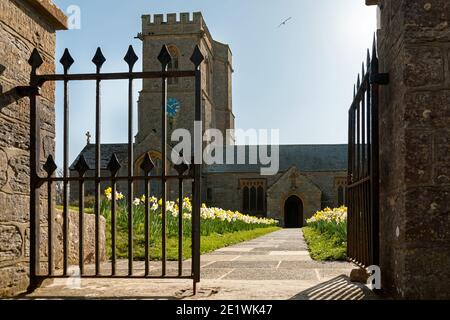 BURTON BRADSTOCK, DORSET, Royaume-Uni - 19 MARS 2009 : portes en fer forgé à moitié ouvertes et chemin bordé de jonquilles menant à l'église Sainte-Marie Banque D'Images