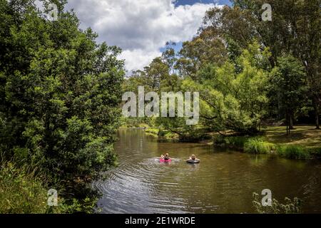 Deux personnes non identifiables flottant le long de la rivière à Bright, Victoria, Australie Banque D'Images