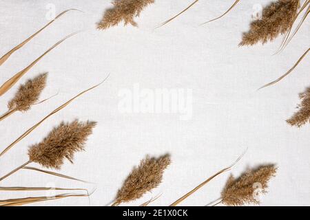 Revêtement plat avec cadre en fleur en roseau naturellement séchée sur du linge blanc texturé. Arrière-plan avec arrangement de fleur séchée et copier le centre d'espace. ORGA Banque D'Images