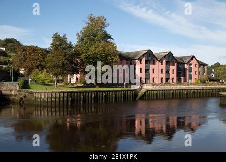 Logement réfléchissant dans la rivière au début de l'automne en tons, sur les rives de la rivière Dart. Banque D'Images