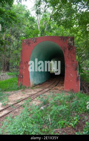 Pondichéry, Inde - décembre 2020 : le jardin botanique. Petit tunnel sur le chemin de fer pour visiter le jardin avec un petit train. Banque D'Images