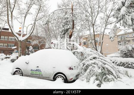 Alcobendas, Espagne. 09e janvier 2021. Conséquences de la tempête de Filomena à Alcobendas et San Sebastián de los Reyes (Madrid) après plus de 21 heures de neige. Alcobendas/San Sebastián de los Reyes (Madrid). (Photo b Juan Carlos García Mate/Pacific Press) (photo de Juan Carlos García Mate/Pacific Press) Credit: Pacific Press Media production Corp./Alay Live News Banque D'Images