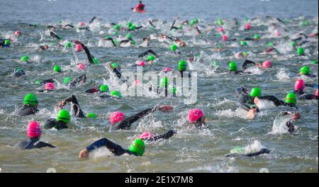 Les concurrents nagent en eau libre au début du triathlon. Banque D'Images