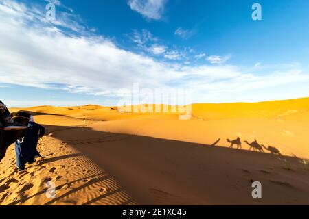 (Mise au point sélective) vue imprenable sur la silhouette de deux personnes à cheval chameaux sur les dunes de sable de Merzouga, Maroc. Banque D'Images