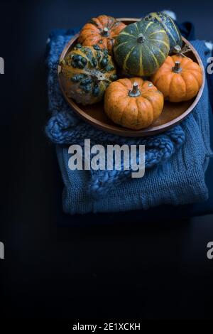 Six citrouilles naines regroupées dans un plat en bois au sommet d'une pile de chandails bleus. Banque D'Images