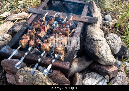 Délicieux kebab au shish cuisiné sur un feu de charbons. Dans la nature, de belles coupes de viande appétissantes sont préparées sur le gril. Gros plan. Banque D'Images