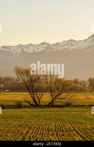 Champ de culture contre les montagnes enneigées des andes au coucher du soleil à Trevelin, Patagonie, Argentine Banque D'Images