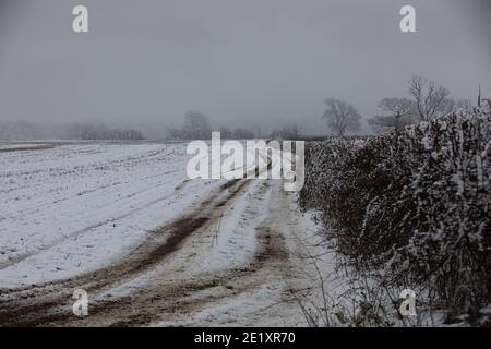 Warlingham, Surrey, Royaume-Uni. 10 janvier 2021. Après les chutes de neige il y a trois jours, les températures n'ont pas augmenté au-dessus du point de congélation, donc il n'a pas fondu et les arbres se brandient avec la glace à Limpsfield, dans le Surrey. La prévision pour aujourd'hui est 1C avec des nuages légers et des vents légers. Crédit : Keith Larby/Alay Live News Banque D'Images