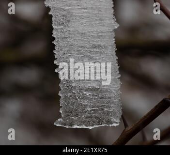 Warlingham, Surrey, Royaume-Uni. 10 janvier 2021. Après les chutes de neige il y a trois jours, les températures n'ont pas augmenté au-dessus du point de congélation, donc il n'a pas fondu et les arbres se brandient avec la glace à Limpsfield, dans le Surrey. La prévision pour aujourd'hui est 1C avec des nuages légers et des vents légers. Crédit : Keith Larby/Alay Live News Banque D'Images