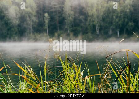 Brouillard sur la surface de l'eau sur le lac. Brume matinale sur la rivière Banque D'Images