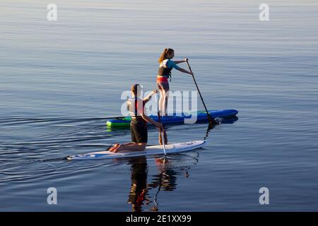 29 juin 2018 Un couple leur pagaie lentement des planches de surf dans la mer calme à Groomsport port près de Bangor Northern Ireland sur un été chaud et calme eve Banque D'Images