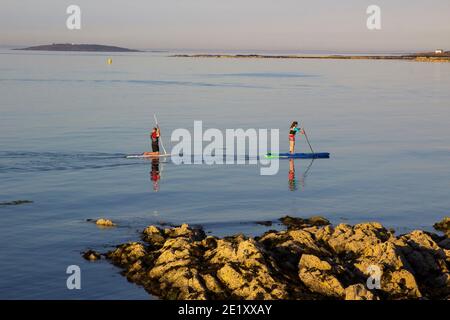 29 juin 2018 Un couple leur pagaie lentement des planches de surf dans la mer calme à Groomsport port près de Bangor Northern Ireland sur un été chaud et calme eve Banque D'Images