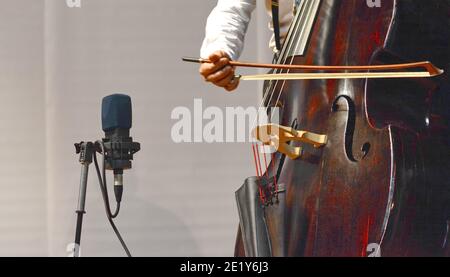 Double Bass Player jouant contre-bass devant le microphone. Banque D'Images