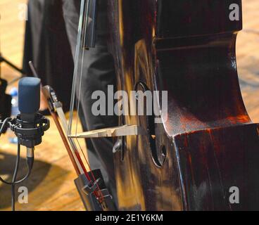 Double Bass Player jouant contre-bass devant le microphone. Banque D'Images