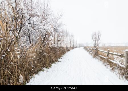 Estany Ivars i Vila-sana (Pla d'Urgell, Catalogne, Espagne), neige, après Storm Filomena Banque D'Images