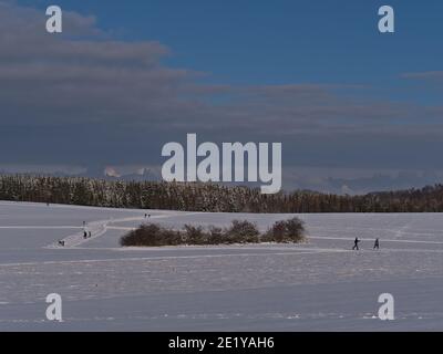 Magnifique paysage d'hiver avec piste de ski de fond sur des champs enneigés, les gens qui apprécient les activités de loisirs et la forêt à l'horizon par temps ensoleillé. Banque D'Images