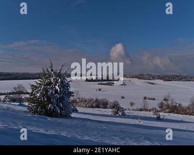 Magnifique paysage d'hiver dans la chaîne de montagnes basses Swabian Alb près de Burladingen, Allemagne avec des prés enneigés et des conifères jetant l'ombre. Banque D'Images