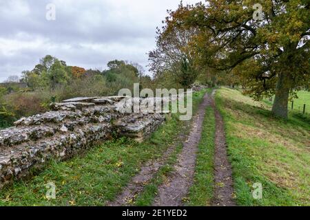 Vue sur le haut des murs romains jusqu'à la ville romaine de Silchester (Calleva Atrebatum), Wiltshire, Royaume-Uni. Banque D'Images